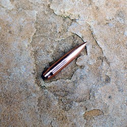 DTAC 6mm 115gr RBT Closed Nose - Bare (500ct box)  