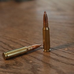 DTAC .308 Precision Loaded Ammo with NOSERING®  Application (60 Rounds)