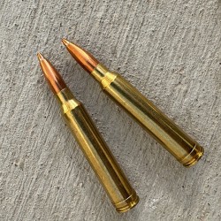 DTAC 300 Win Mag Loaded Ammo