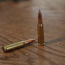 DTAC .308 Precision Loaded Ammo with NOSERING®  Application (60 Rounds)